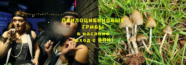 стаф Алексеевка