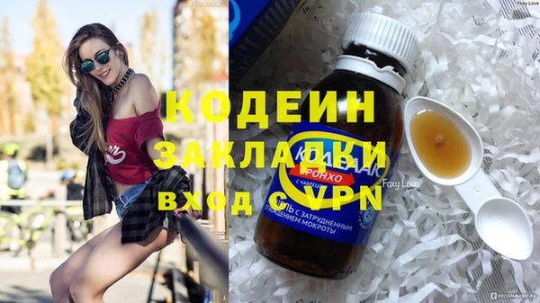 молекула духа Алзамай