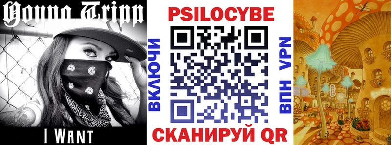 магазин продажи   Карпинск  Псилоцибиновые грибы Psilocybe 
